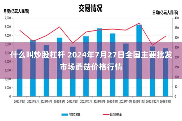 什么叫炒股杠杆 2024年7月27日全国主要批发市场蘑菇价格行情