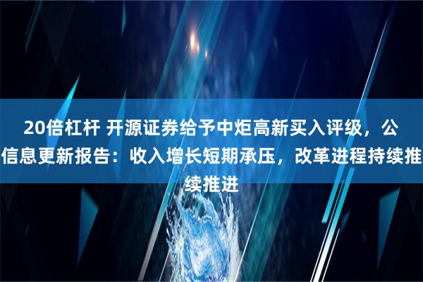 20倍杠杆 开源证券给予中炬高新买入评级，公司信息更新报告：收入增长短期承压，改革进程持续推进