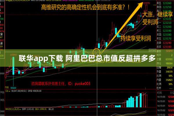 联华app下载 阿里巴巴总市值反超拼多多