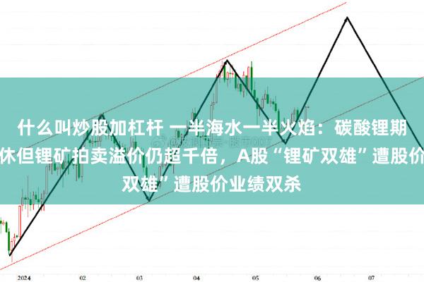 什么叫炒股加杠杆 一半海水一半火焰：碳酸锂期货跌跌不休但锂矿拍卖溢价仍超千倍，A股“锂矿双雄”遭股价业绩双杀