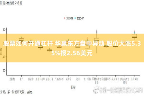 股票如何开通杠杆 华赢东方盘中异动 股价大涨5.35%报2.56美元