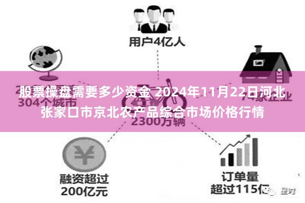 股票操盘需要多少资金 2024年11月22日河北张家口市京北农产品综合市场价格行情