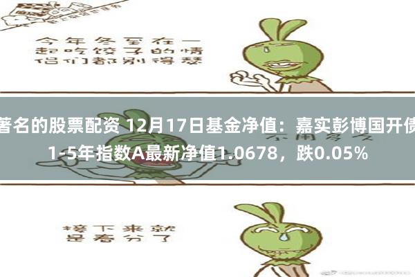 著名的股票配资 12月17日基金净值：嘉实彭博国开债1-5年指数A最新净值1.0678，跌0.05%