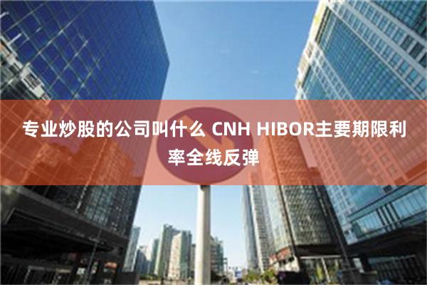 专业炒股的公司叫什么 CNH HIBOR主要期限利率全线反弹