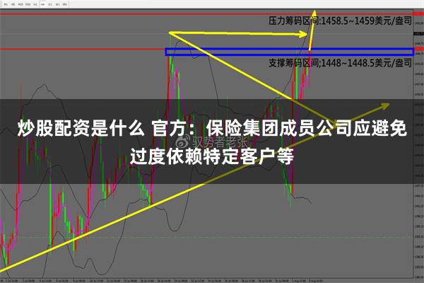 炒股配资是什么 官方：保险集团成员公司应避免过度依赖特定客户等